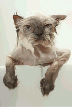 Petites-aventure-plage-pays-basque