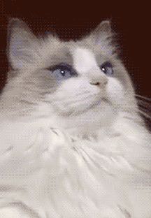 Petite-aventure-marie-feroce-dents