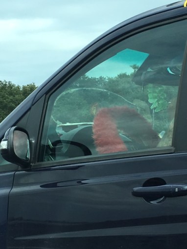 Petite-aventure-tuning