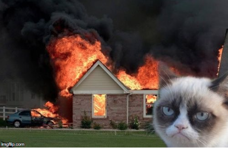 petites-aventures-marie-feroce5